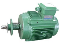 YLF2冷卻塔專用電動(dòng)機(jī)